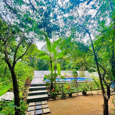Gangadiya Lodge Сигирия Екстериор снимка